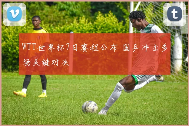 WTT世界杯7日赛程公布 国乒冲击多场关键对决