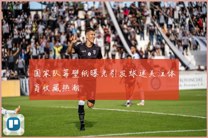 国家队莓壁纸曝光引发球迷关注体育收藏热潮
