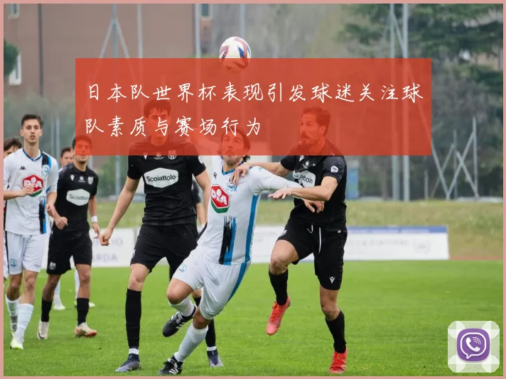 日本队世界杯表现引发球迷关注球队素质与赛场行为