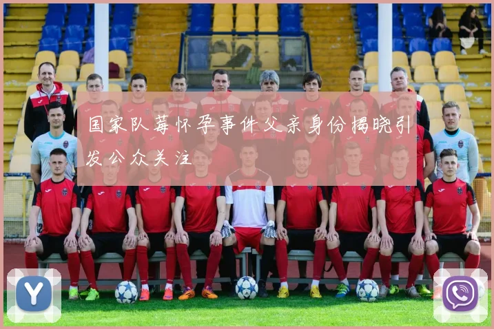 国家队莓怀孕事件父亲身份揭晓引发公众关注