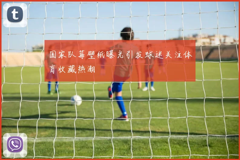 国家队莓壁纸曝光引发球迷关注体育收藏热潮